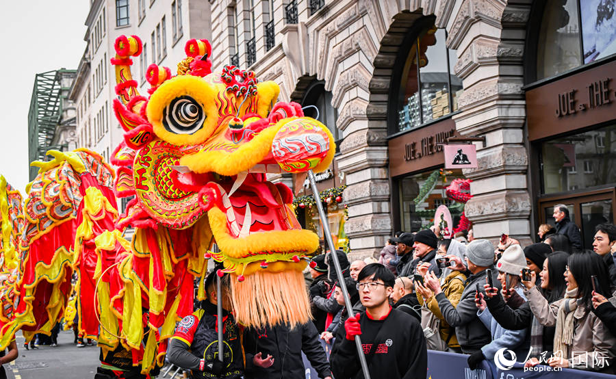 2024���׶�Ԫ���������ֳ��������� ��������