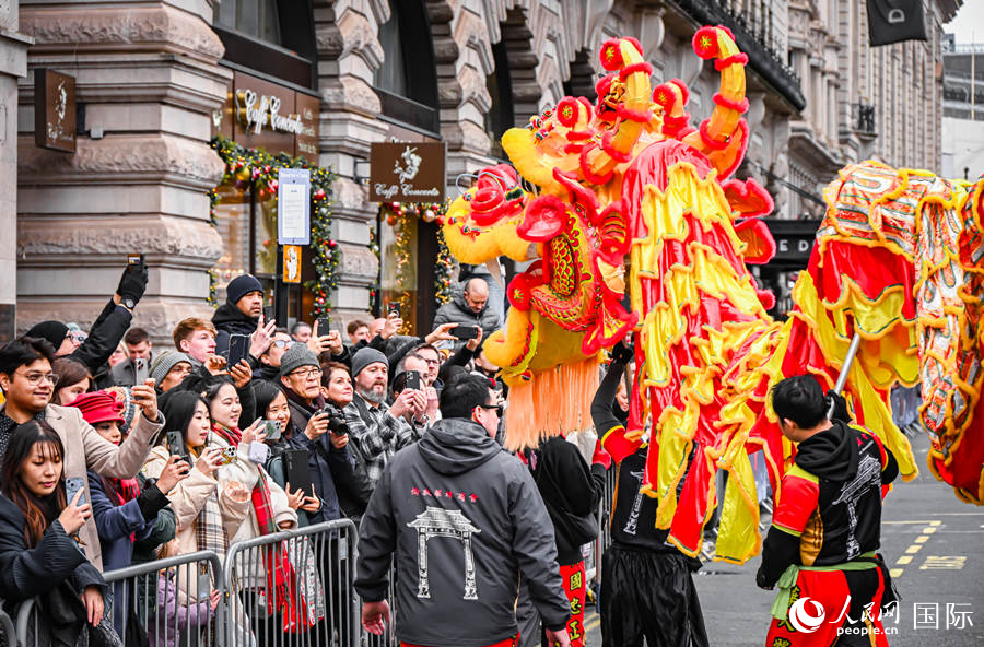 2024���׶�Ԫ���������ֳ��������� ��������