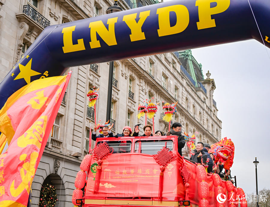 2024���׶�Ԫ���������ֳ��������� ��������