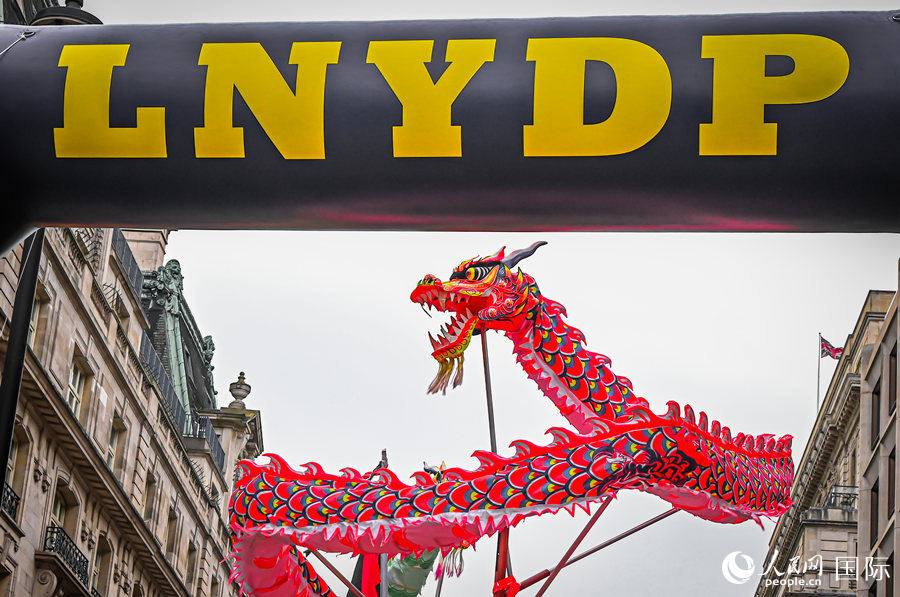 2024���׶�Ԫ���������ֳ��������� ��������