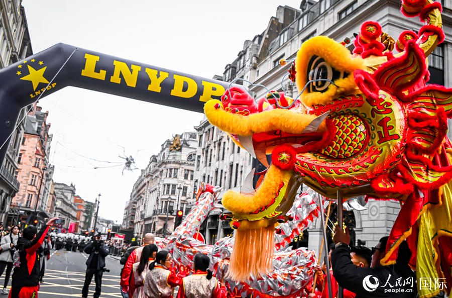 2024���׶�Ԫ���������ֳ��������� ��������