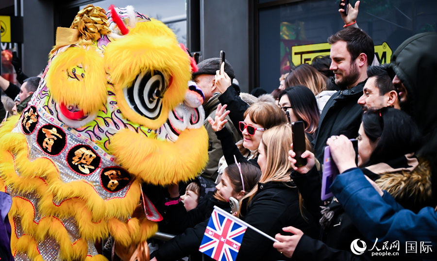 2024���׶�Ԫ���������ֳ��������� ��������