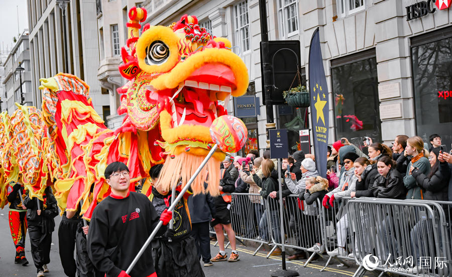 2024���׶�Ԫ���������ֳ��������� ��������