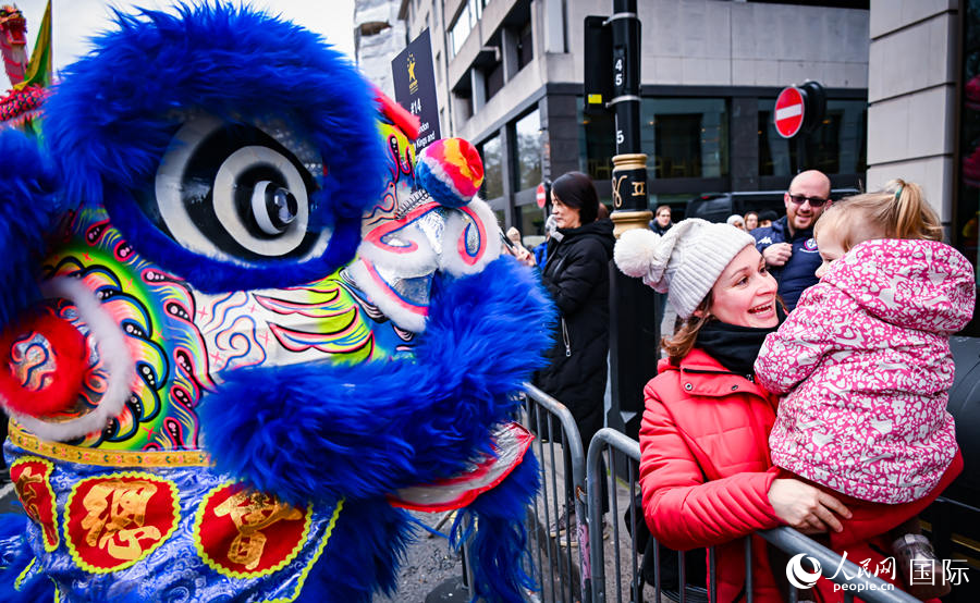 2024���׶�Ԫ���������ֳ��������� ��������