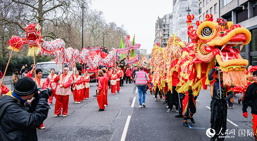 2024���׶�Ԫ���������ֳ��������� ��������