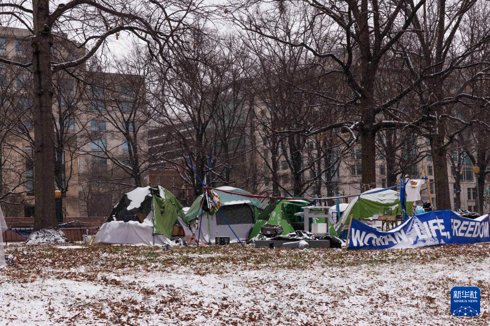 1��15�գ��������׶���ʢ�٣��޼ҿɹ��ߵ����񱻻�ѩ���ǡ��»��緢�������㣩