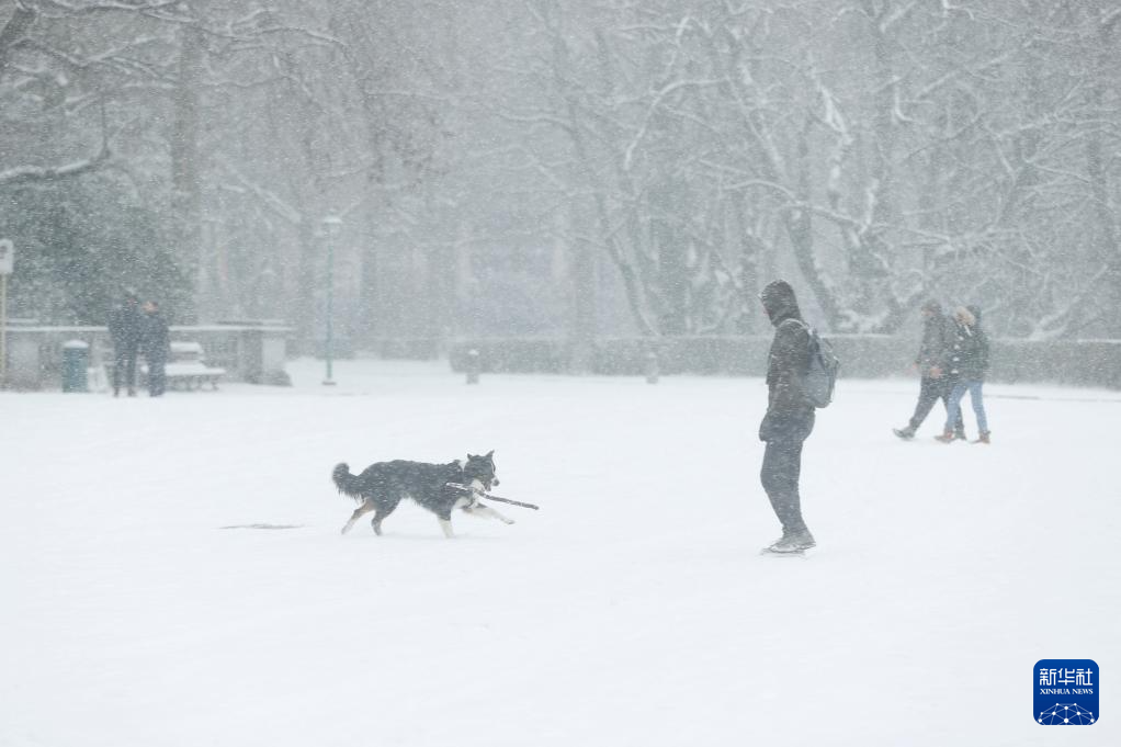 1��17�գ��ڱ���ʱ��³������ʮ�깬��԰��һ��������ѩ����С����Ϸ���»������ �Զ��� ��