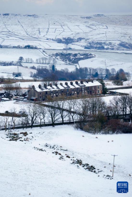 ����1��19����Ӣ��Ӣ�������������ѩ��ɫ���»��緢���Ƕ��������㣩