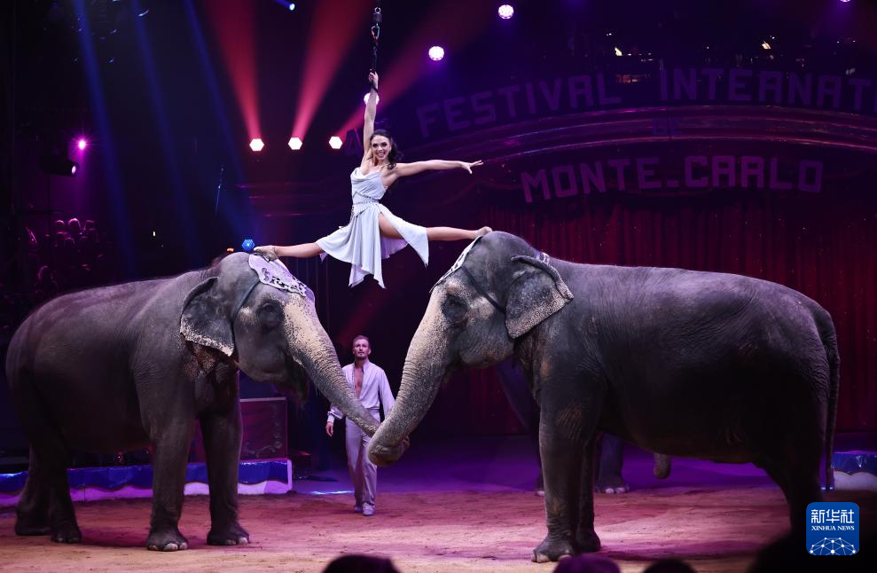 119գԱĦɸؿٰĵ46ؿϷϱݡ» ߾ 