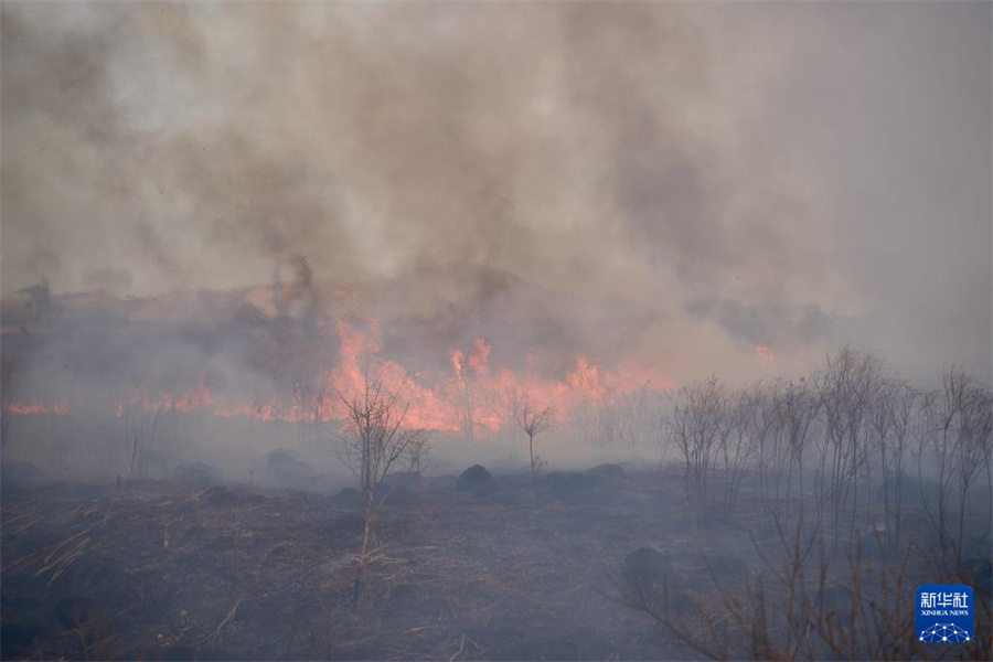 35ڶ˹߽ϲҰֳ»緢㣩