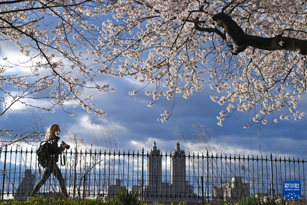 46գһŮӴŦԼ빫԰ӣ߹»  