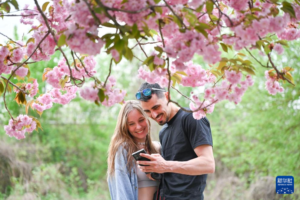 49գڵ¹֣ǲ鿴ӣƬ»  