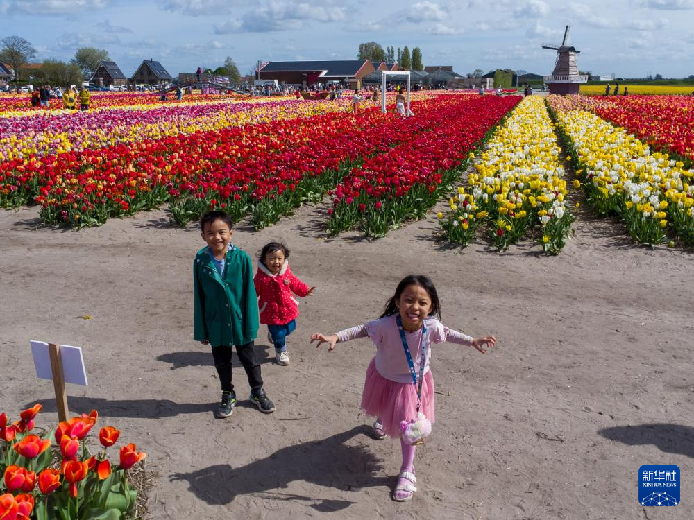 414գСںɪ㻨棨˻Ƭ» ϶ 