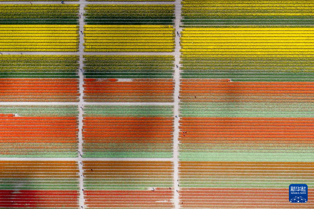 414ںɪ㻨˻Ƭ» ϶ 