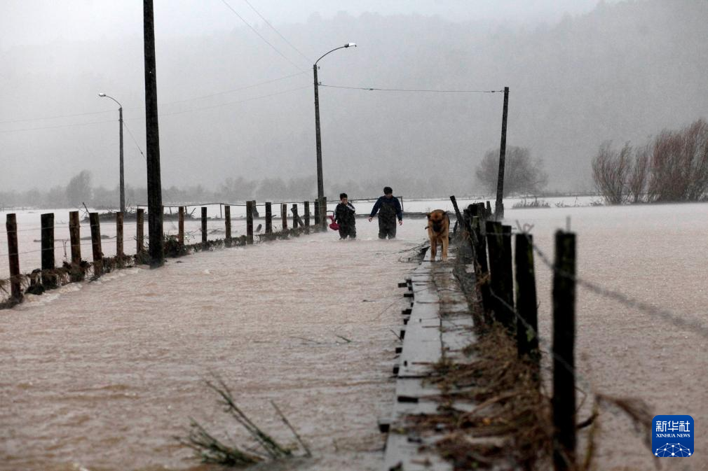 613գȰ±Ȱ´ؾھ̵Ƥߡ»緢