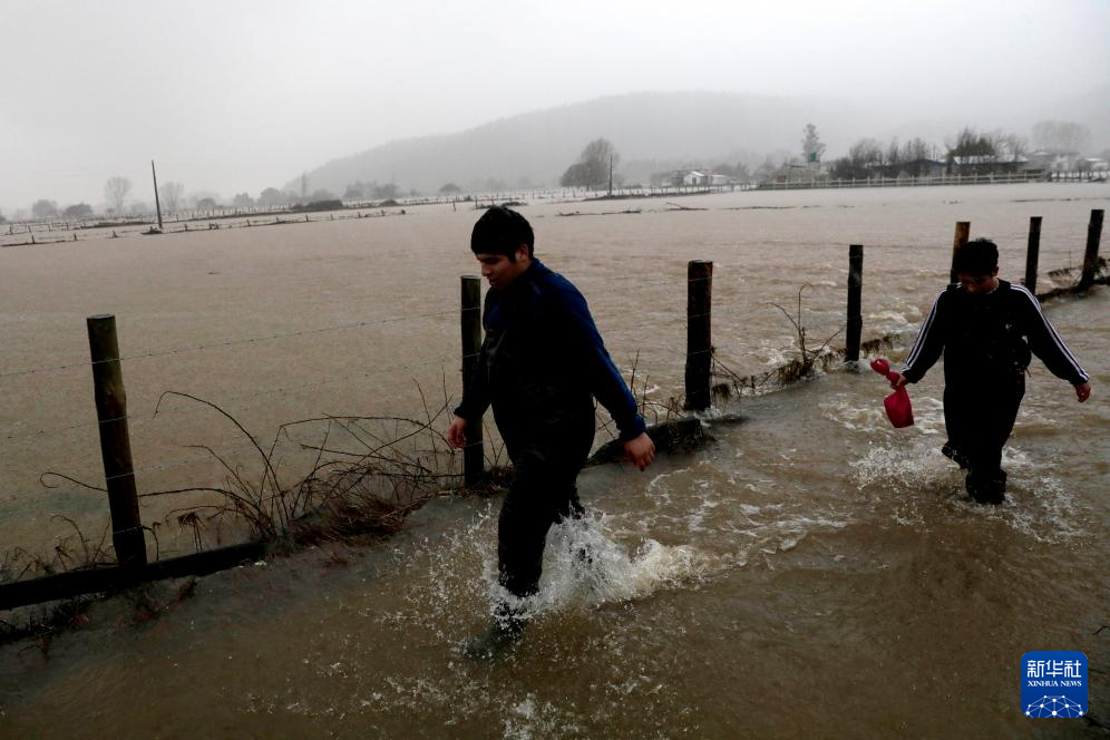 613գȰ±Ȱ´ؾھ̵Ƥߡ»緢