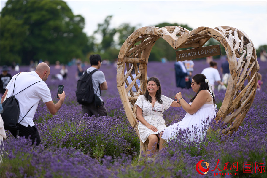 民众打卡薰衣草庄园。人民网 实习生杨浩鹏摄
