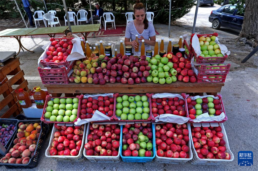 831գɽʡһ̯ƻƻ»緢άϣ 㣩