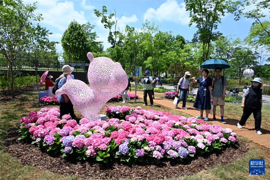 5月22日，游客在韩国首尔观赏园艺作品。新华社发（全休相摄）