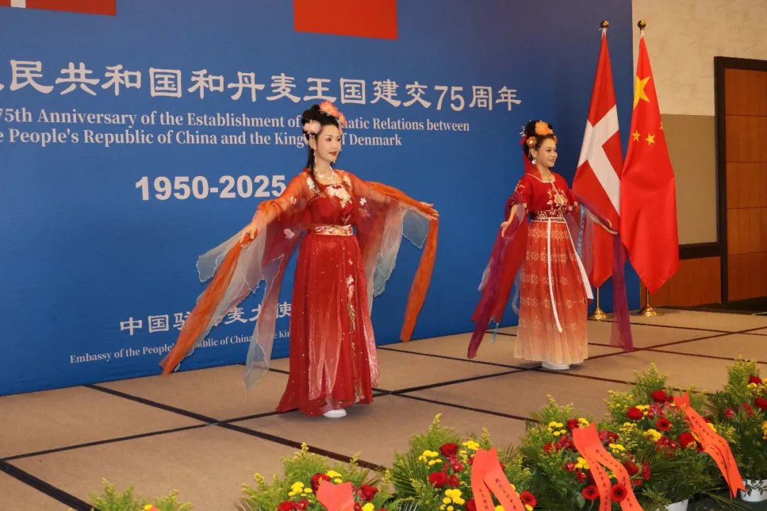 舞蹈表演。中国驻丹麦大使馆供图