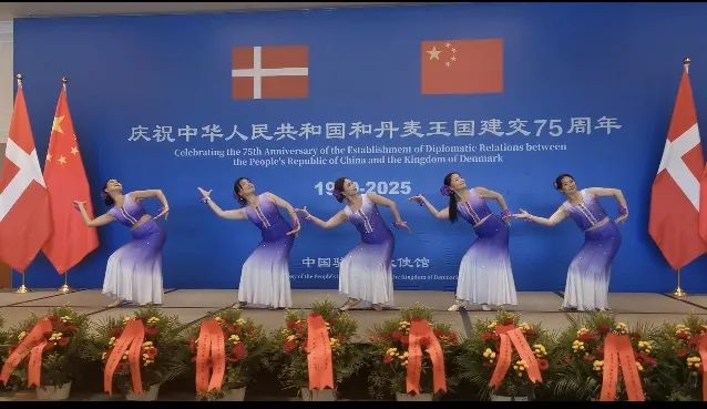 民族舞蹈。中国驻丹麦大使馆供图