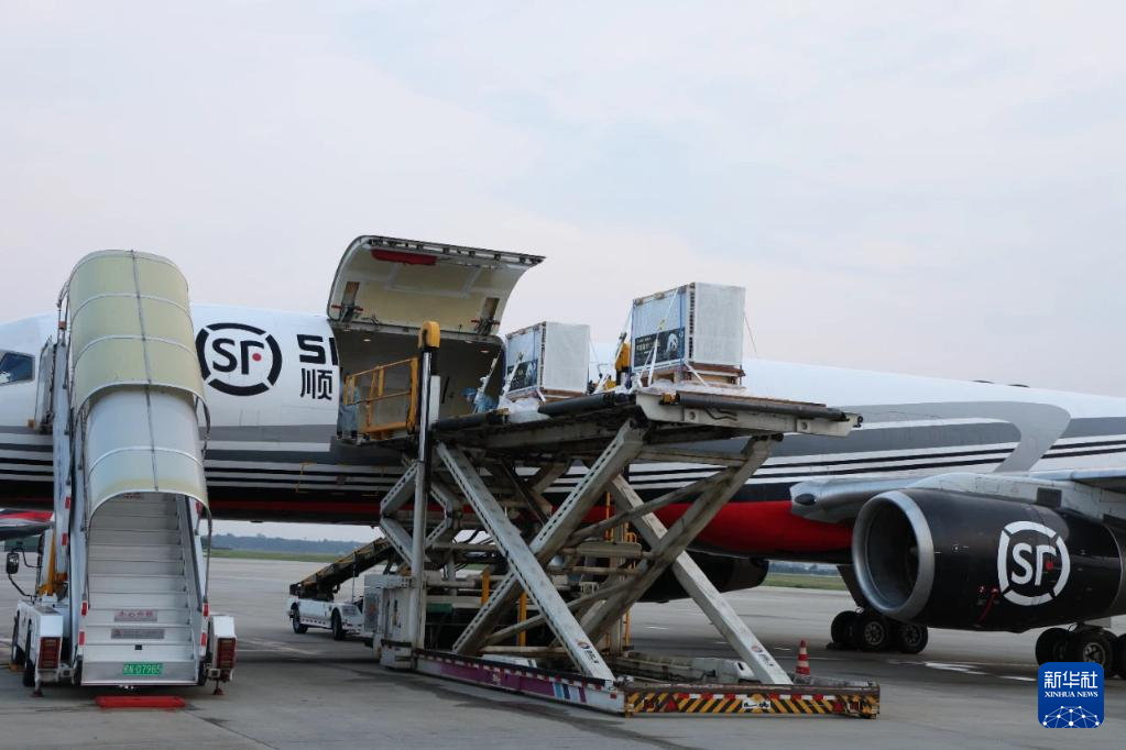 6月28日，搭载大熊猫“良浜”“结浜”“彩浜”“枫浜”的飞机抵达成都双流国际机场。新华社发（成都大熊猫繁育研究基地供图）