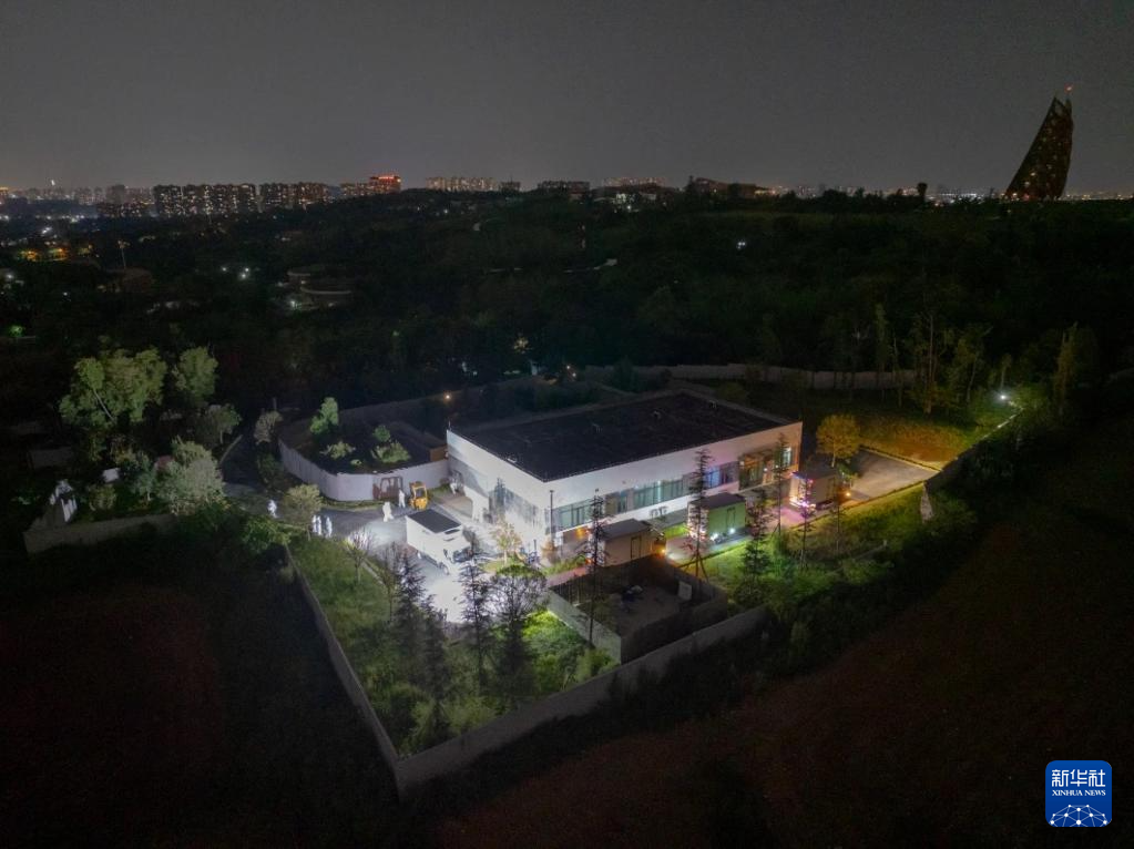 6月28日晚，四只大熊猫抵达成都大熊猫繁育研究基地。新华社发（成都大熊猫繁育研究基地供图）