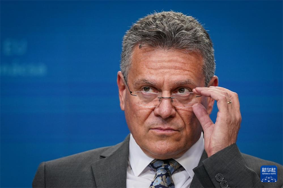 7月14日，在比利时布鲁塞尔，欧盟委员会负责贸易和经济安全等事务的委员谢夫乔维奇出席新闻发布会。新华社记者 彭子洋 摄