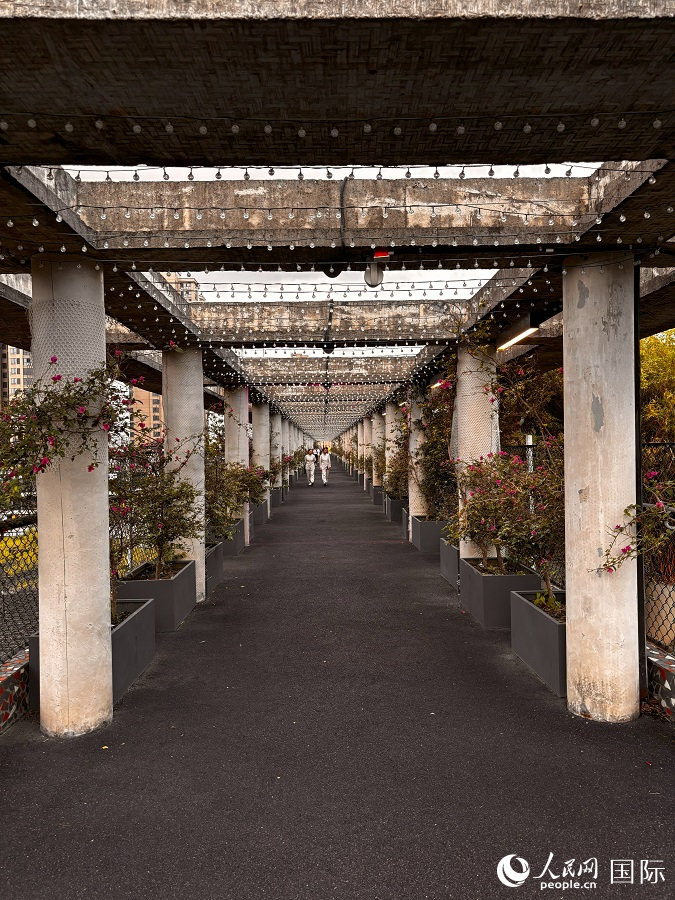 西村大院空中跑道。 人民网 谷羽桐摄