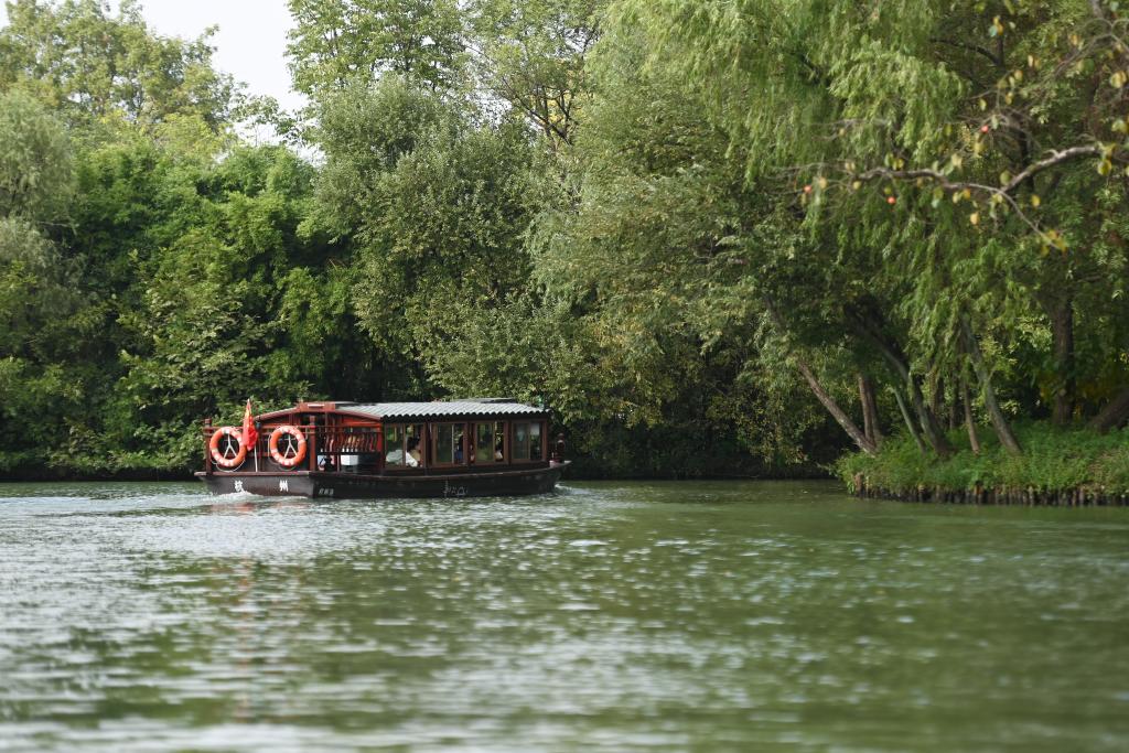 2024年10月24日,游客乘坐游船在浙江杭州西溪湿地观光。新华社记者黄宗治摄