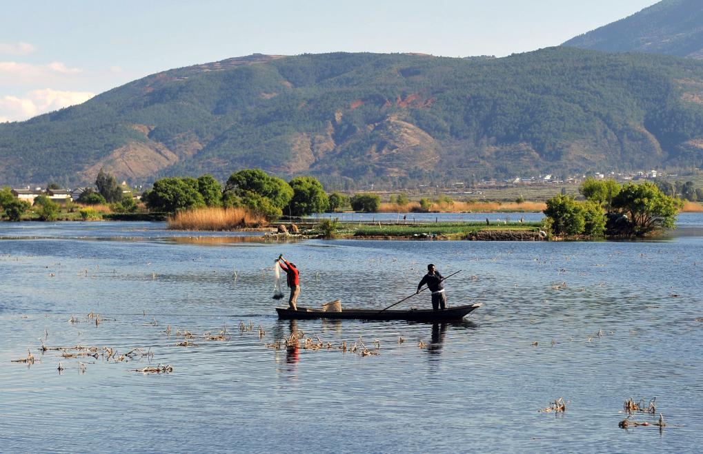 2014年2月19日,两名白族渔民在云南省大理白族自治州洱源县西湖国家湿地公园劳作。新华社记者蔺以光摄