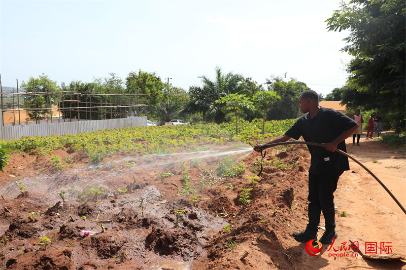 家住在基夫鲁地区的托比亚西·曼戈莱正在农场灌溉。人民网记者 沈小晓摄