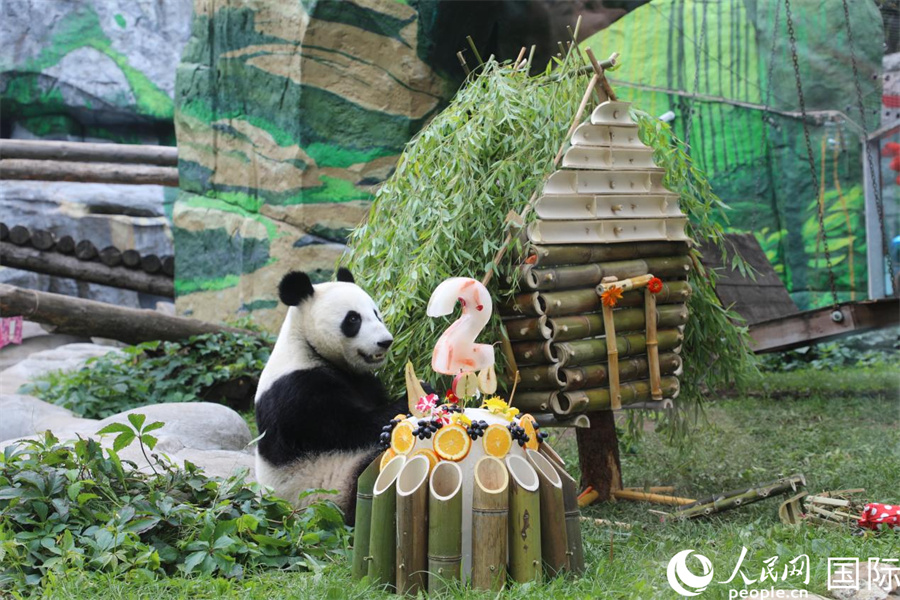 “喀秋莎”在生日庆祝活动上享用园方准备的蛋糕。人民网记者 肖新新摄 