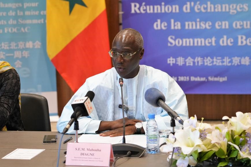 图为塞内加尔总理特别代表、农业部长迪亚涅致辞。中国驻塞内加尔大使馆供图