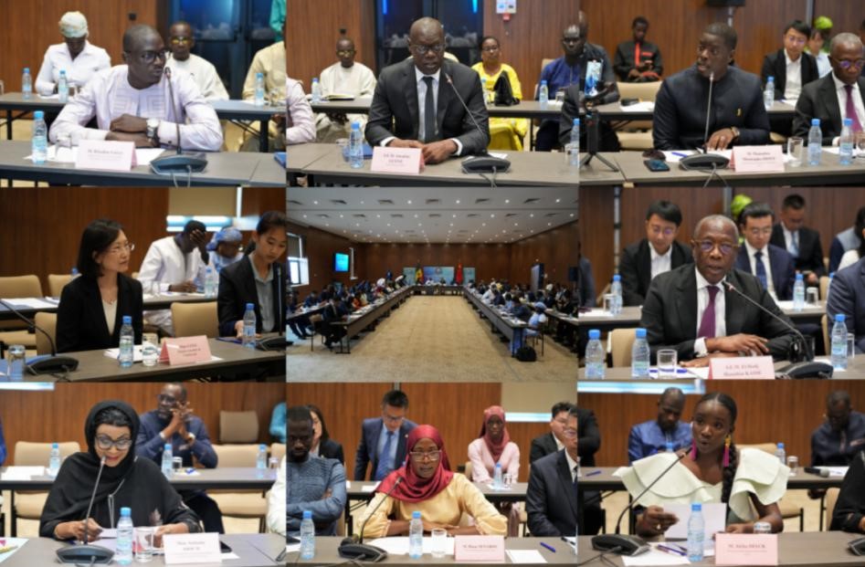 图为交流会现场。中国驻塞内加尔大使馆供图