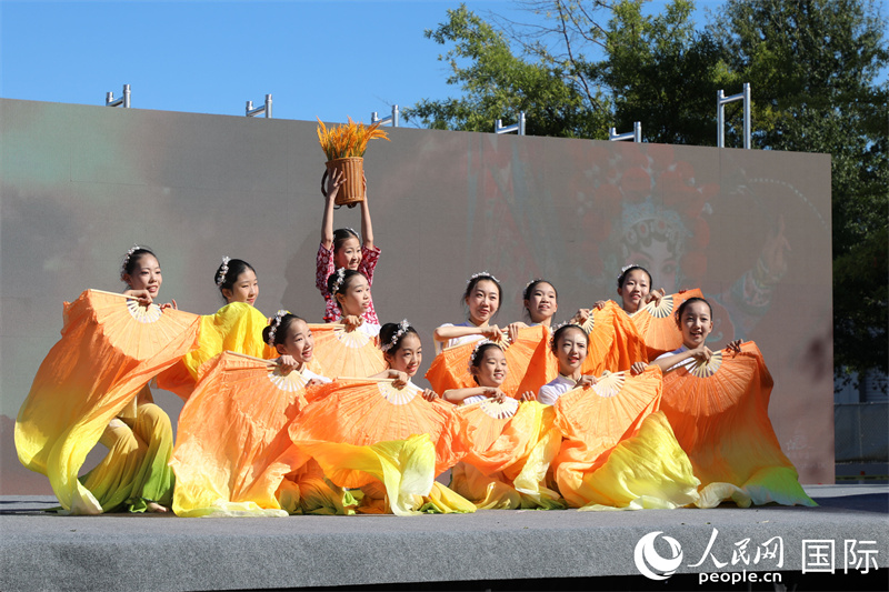 3、华盛顿中国文化节进行了丰富多彩的文艺演出。 人民网记者 李志伟摄