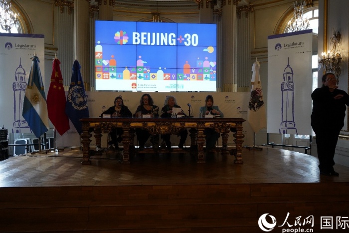 图为曾参加北京世妇会阿方代表座谈。人民网记者 许放摄