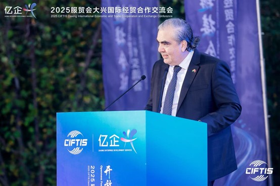 西莱斯在活动中致辞。图片由主办方提供
