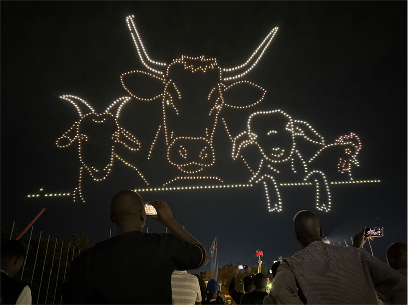 民众纷纷拍照留念。主办方供图