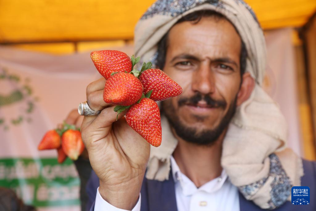 10月6日，在也门首都萨那，一名男子在展会上展示待售的草莓。新华社发（穆罕默德摄）
