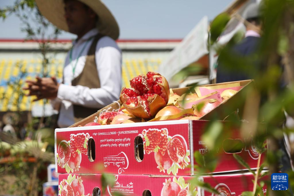 10月6日，在也门首都萨那，一名男子在展会上展示待售的石榴。新华社发（穆罕默德摄）