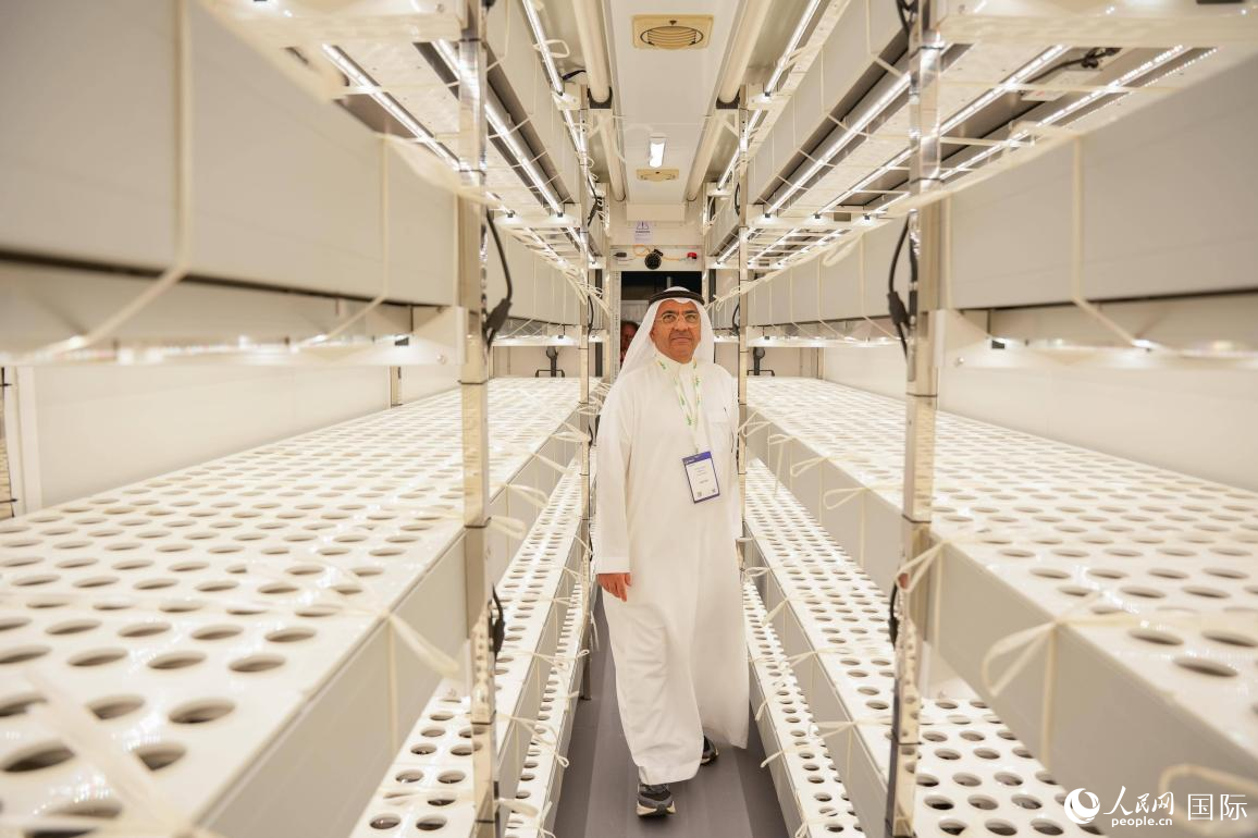 中企设计的集装箱无土栽培解决方案。人民网 塔里克·易卜拉欣摄