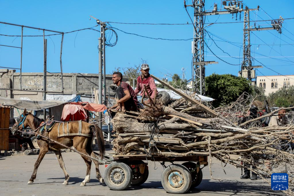 10月11日，加沙地带南部的巴勒斯坦人经由以军指定通道萨拉赫丁公路返回北方。新华社发（里泽克·阿卜杜勒贾瓦德 摄）
