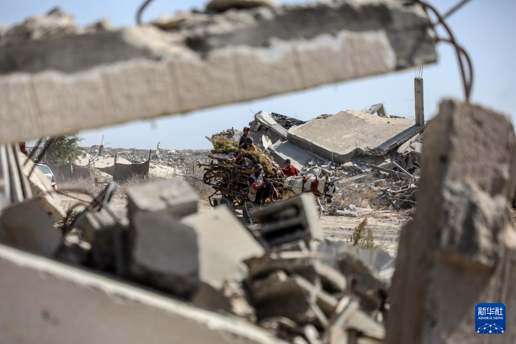 10月11日，加沙地带南部的巴勒斯坦人经由以军指定通道萨拉赫丁公路返回北方。新华社发（里泽克·阿卜杜勒贾瓦德 摄）