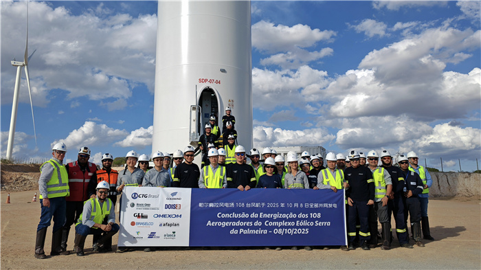 三峡巴西公司帕尔梅拉陆上风电项目。三峡巴西公司供图