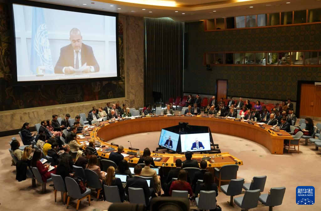 10月23日，在位于纽约的联合国总部，安理会举行中东问题公开辩论会。新华社记者 张凤国 摄