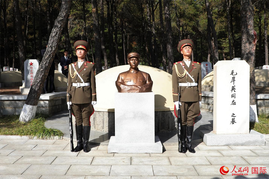 图为中国人民志愿军烈士陵园的毛岸英之墓。人民网记者 刘融摄