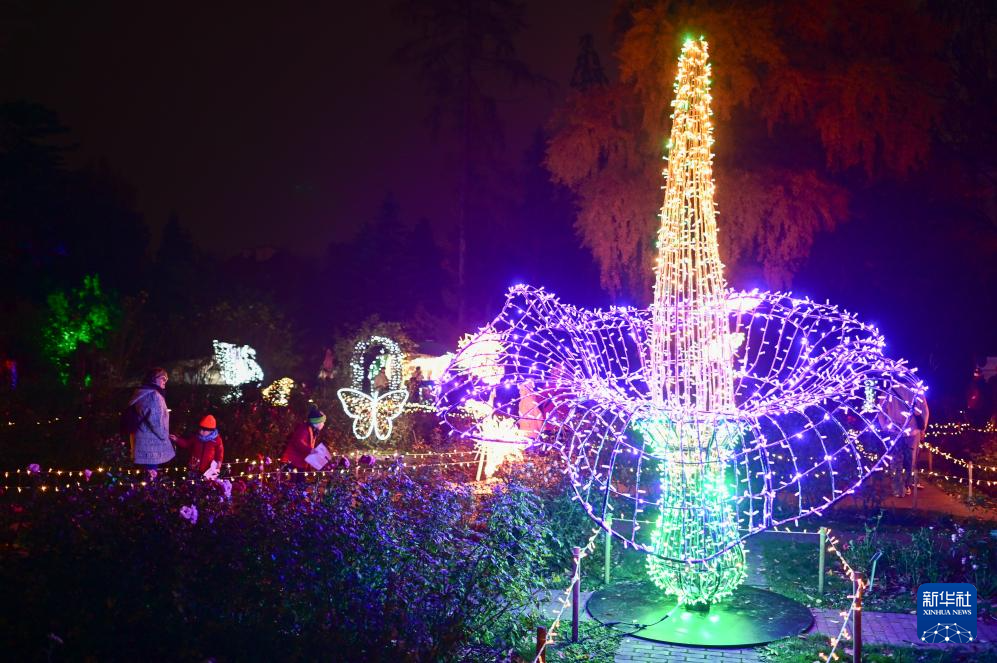 11月8日，游客在波兰华沙大学参观“魔法植物园”灯光展。新华社发（阿列克谢·维特维茨基摄）