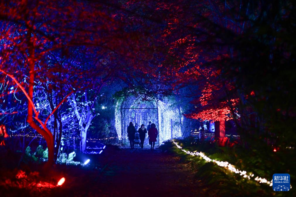 11月8日，游客在波兰华沙大学参观“魔法植物园”灯光展。新华社发（阿列克谢·维特维茨基摄）