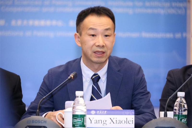 北京大学法学院党委副书记、人工智能研究院副院长杨晓雷发言。主办方供图